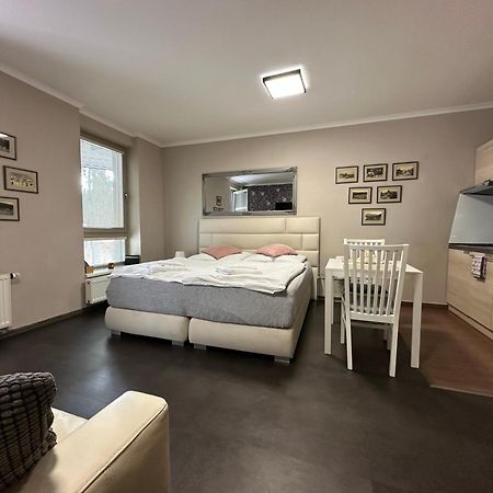 Harrachov Resident Apartments "Terrace & Chill" - High Speed Wifi, Smart Tv, Netflix, Disney Plus Ngoại thất bức ảnh