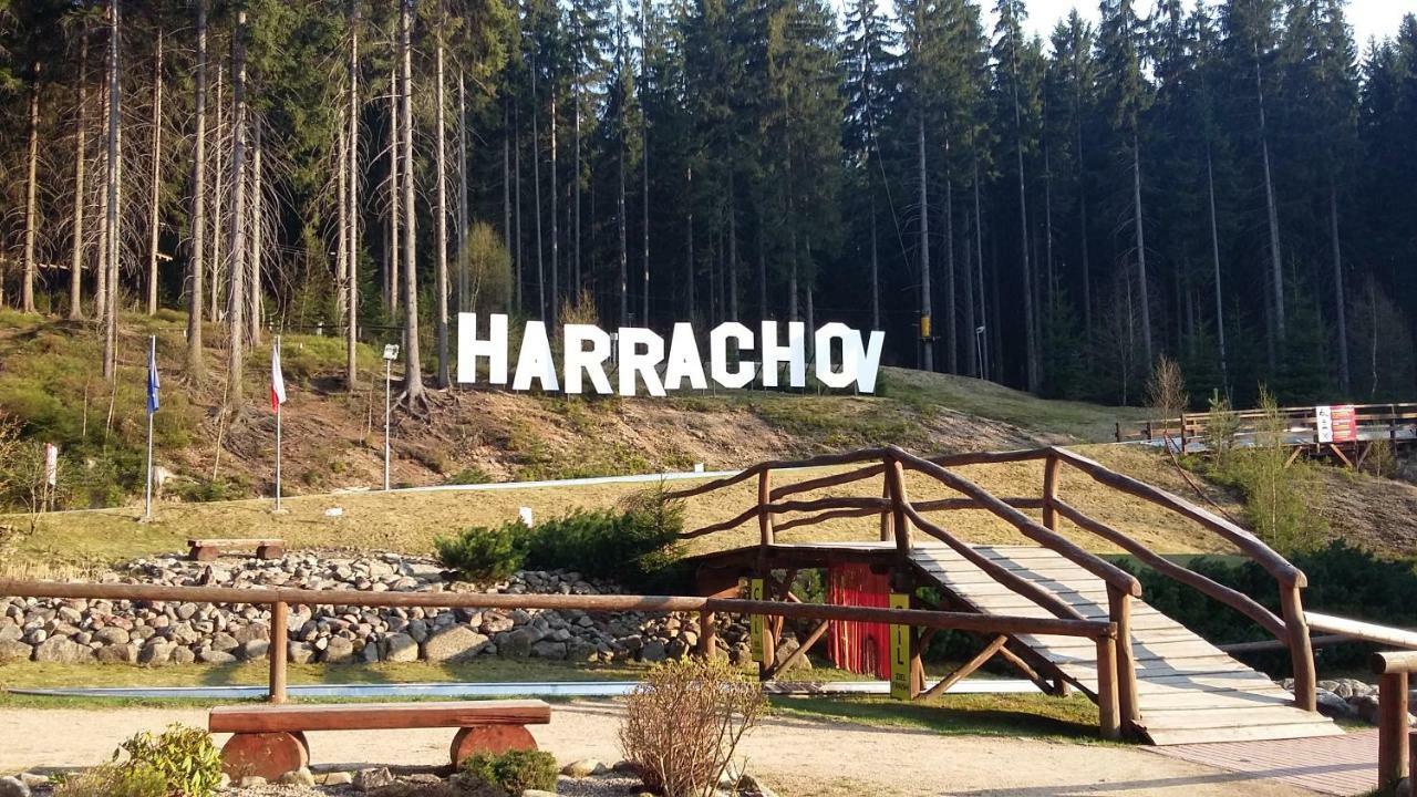 Harrachov Resident Apartments "Terrace & Chill" - High Speed Wifi, Smart Tv, Netflix, Disney Plus Ngoại thất bức ảnh